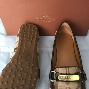 Coach shoes
